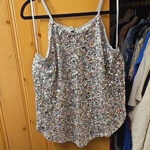 ARULA Multicolor Sequin Camisole
